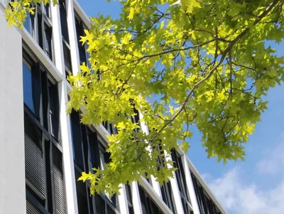 Bürogebäude Großes Bürogebäude bei gutem Wetter
