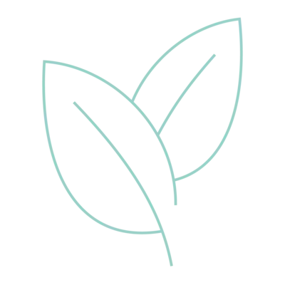 Luftreinigung Grafik von zwei Blättern in türkis